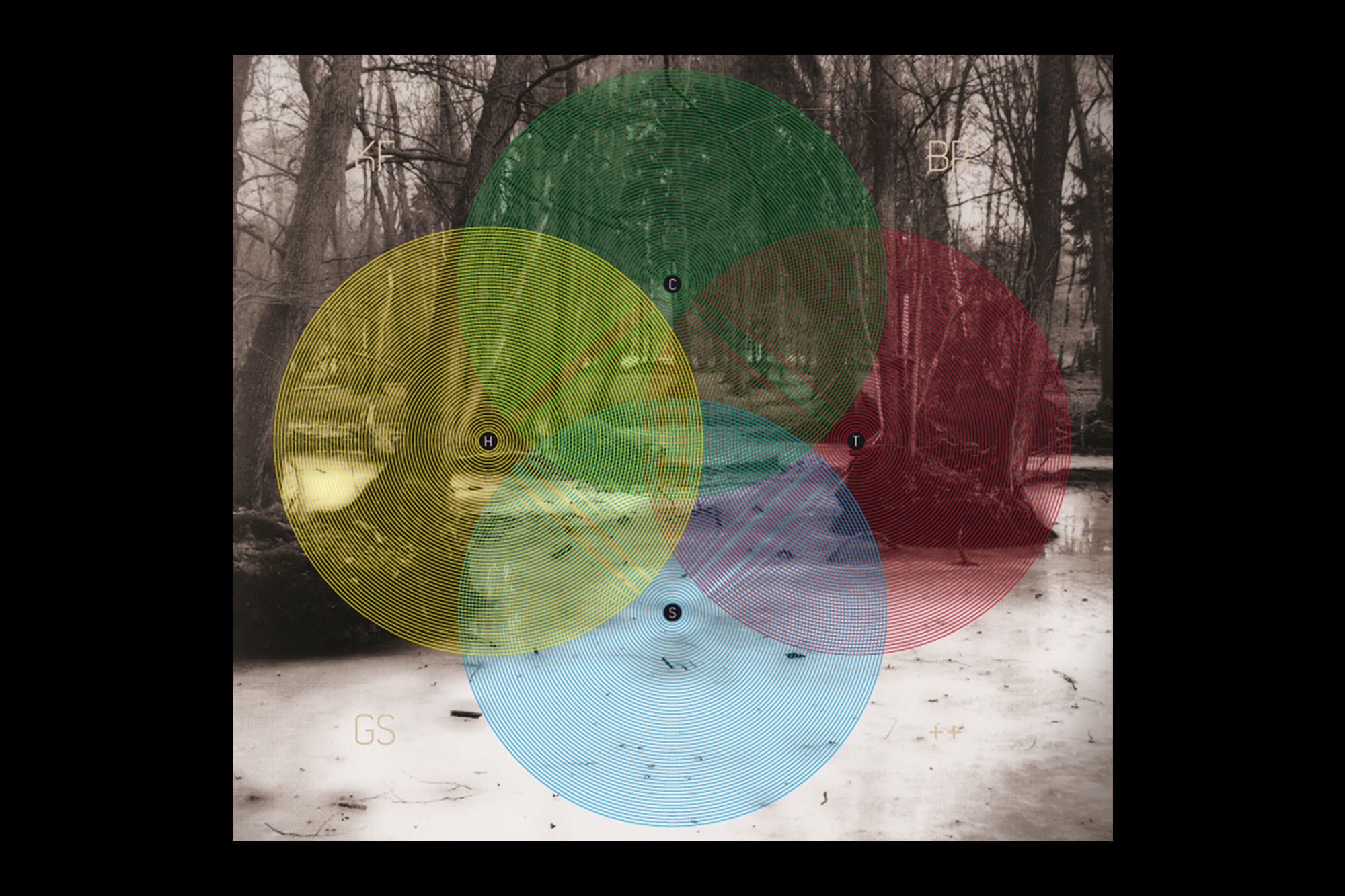 SETKA design