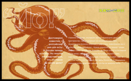 SETKA design